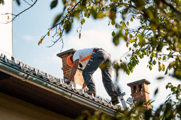 Best Storm Damage Roof Repair  in Menomonie, WI