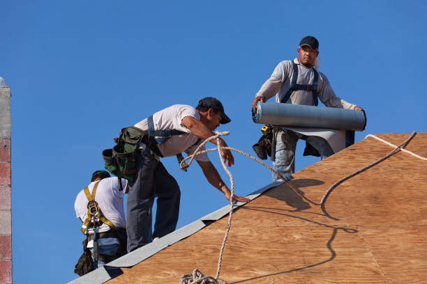 Best Roof Waterproofing Services  in Menomonie, WI