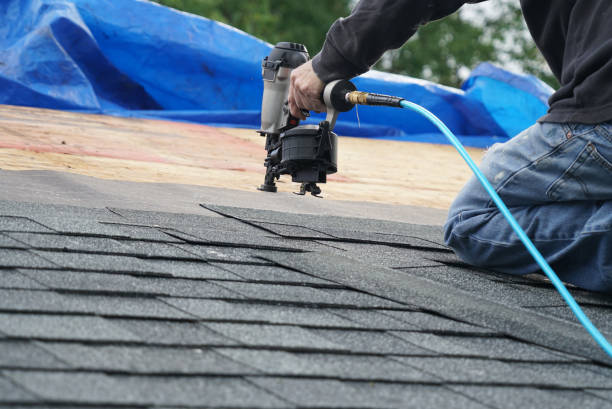 Best Roof Gutter Cleaning  in Menomonie, WI