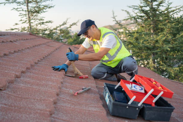 Best Roof Leak Repair  in Menomonie, WI